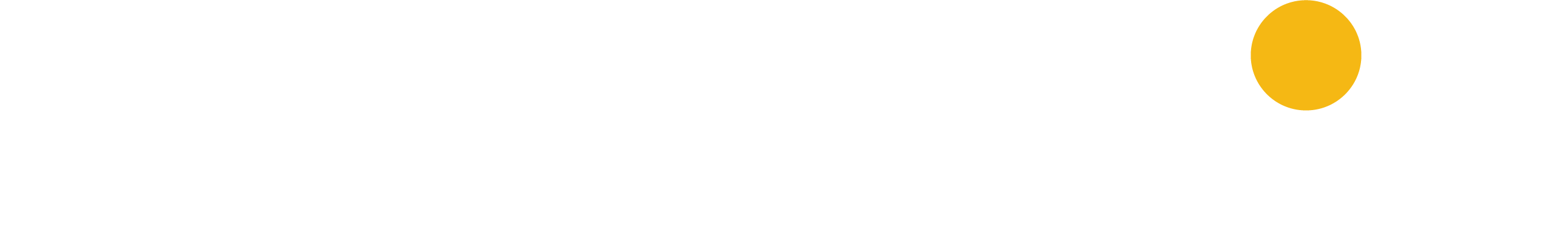 SpyTech Consulting